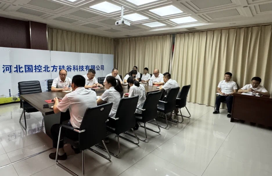 国控硅谷党支部传达学习党的二十届三中全会精神